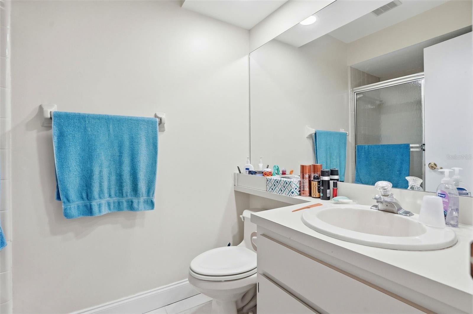 Image 8 of 37 For 6575 Brambleleaf Drive