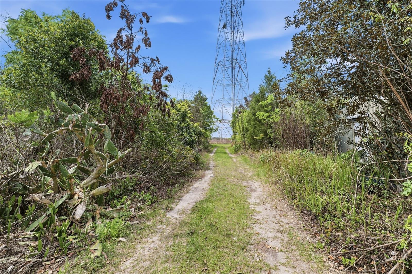 Image 23 of 34 For 4267 Neff Lake Road