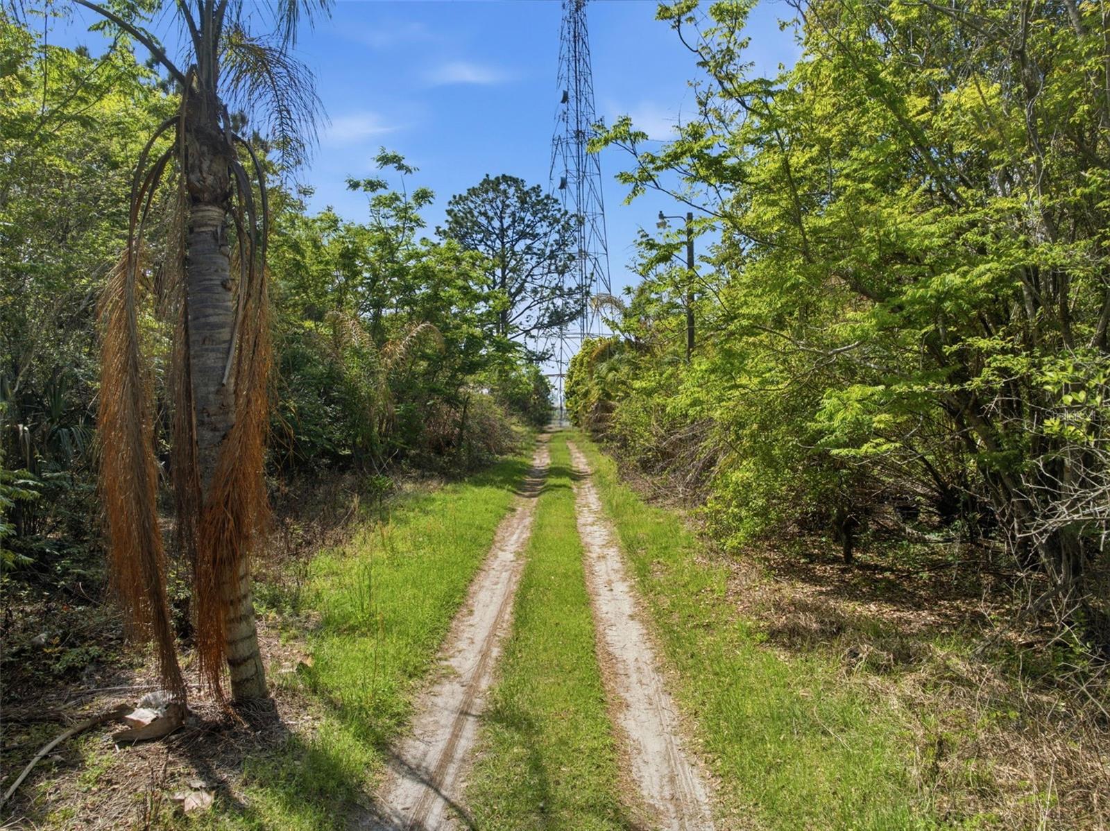 Image 4 of 34 For 4267 Neff Lake Road