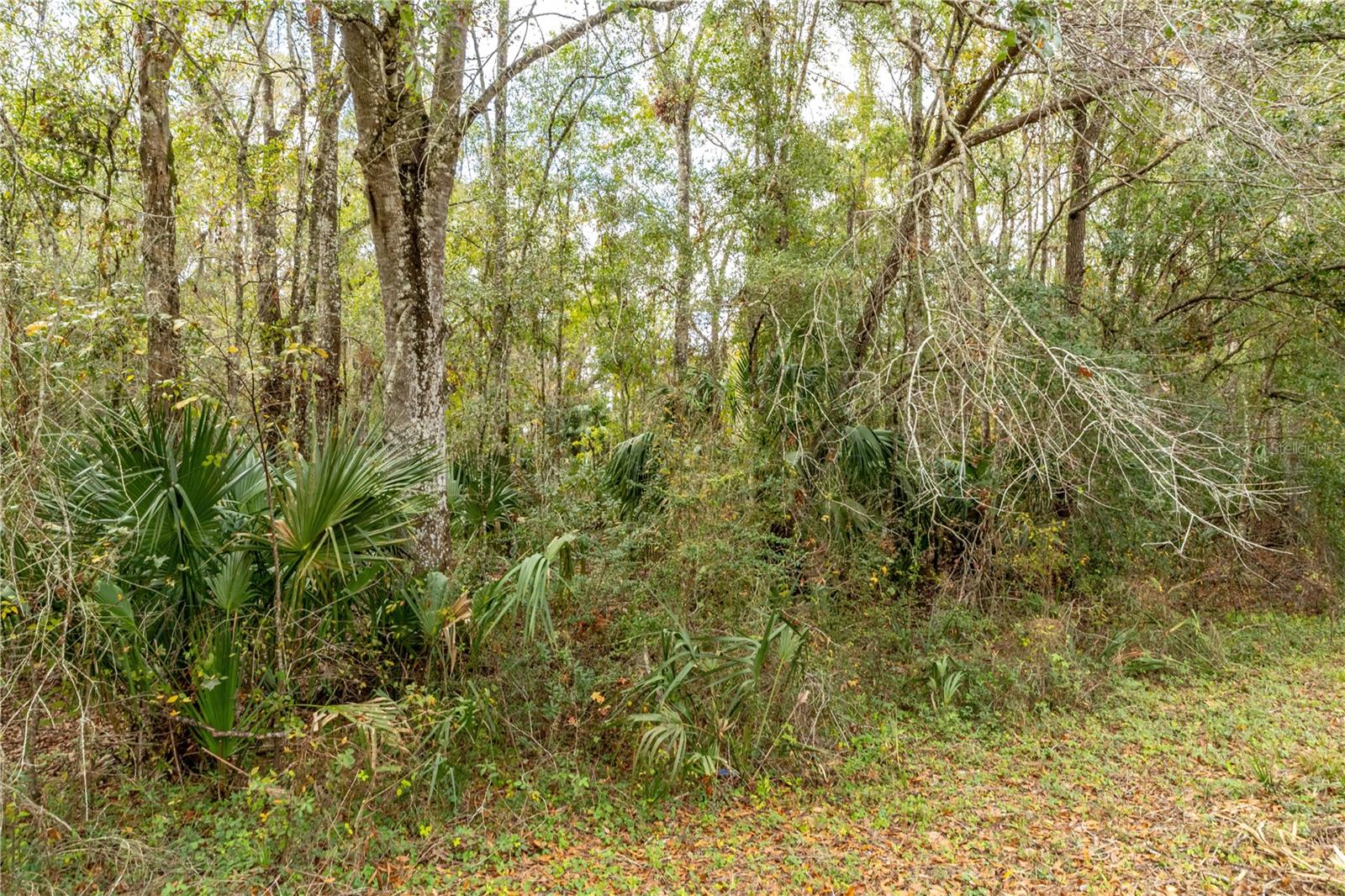 Details for Lake Lindsey Tract 2 Road, BROOKSVILLE, FL 34601