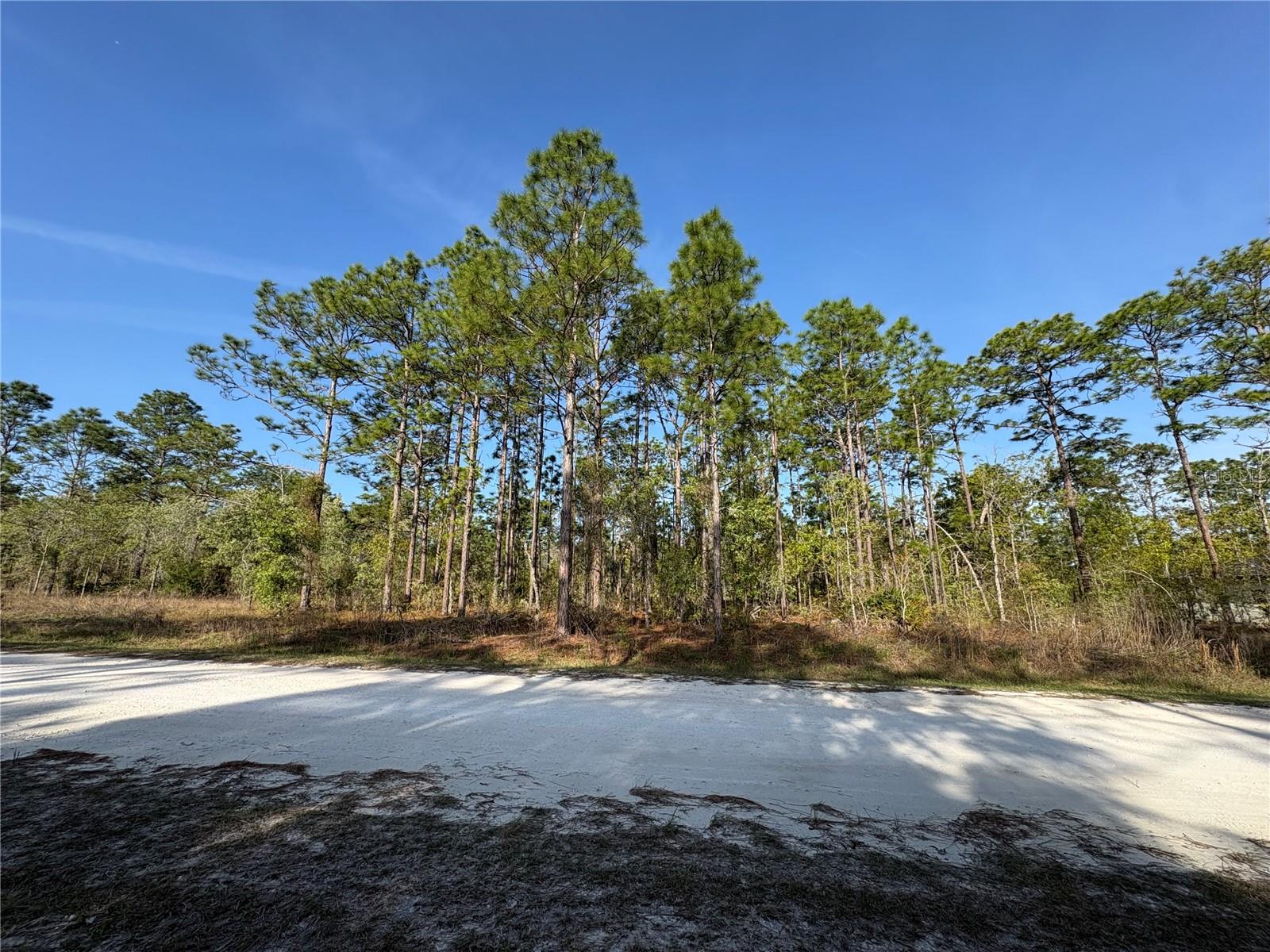 Image 4 of 4 For 00 Penn State Road