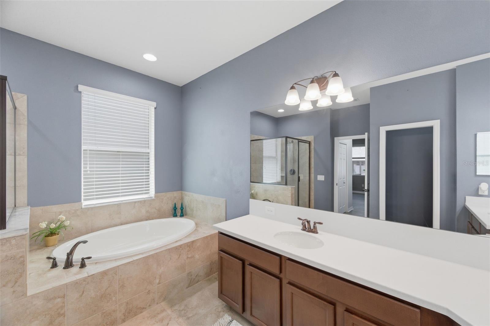 Image 40 of 100 For 8730 Briggs Marsh Court