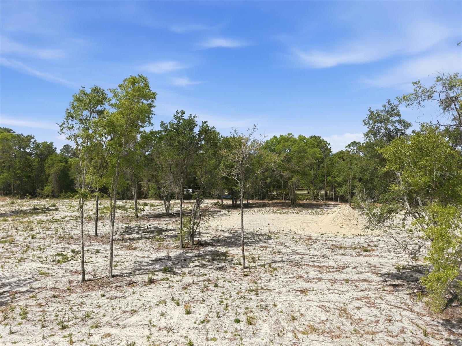 Image 8 of 18 For 14235 Carolina Dove Road