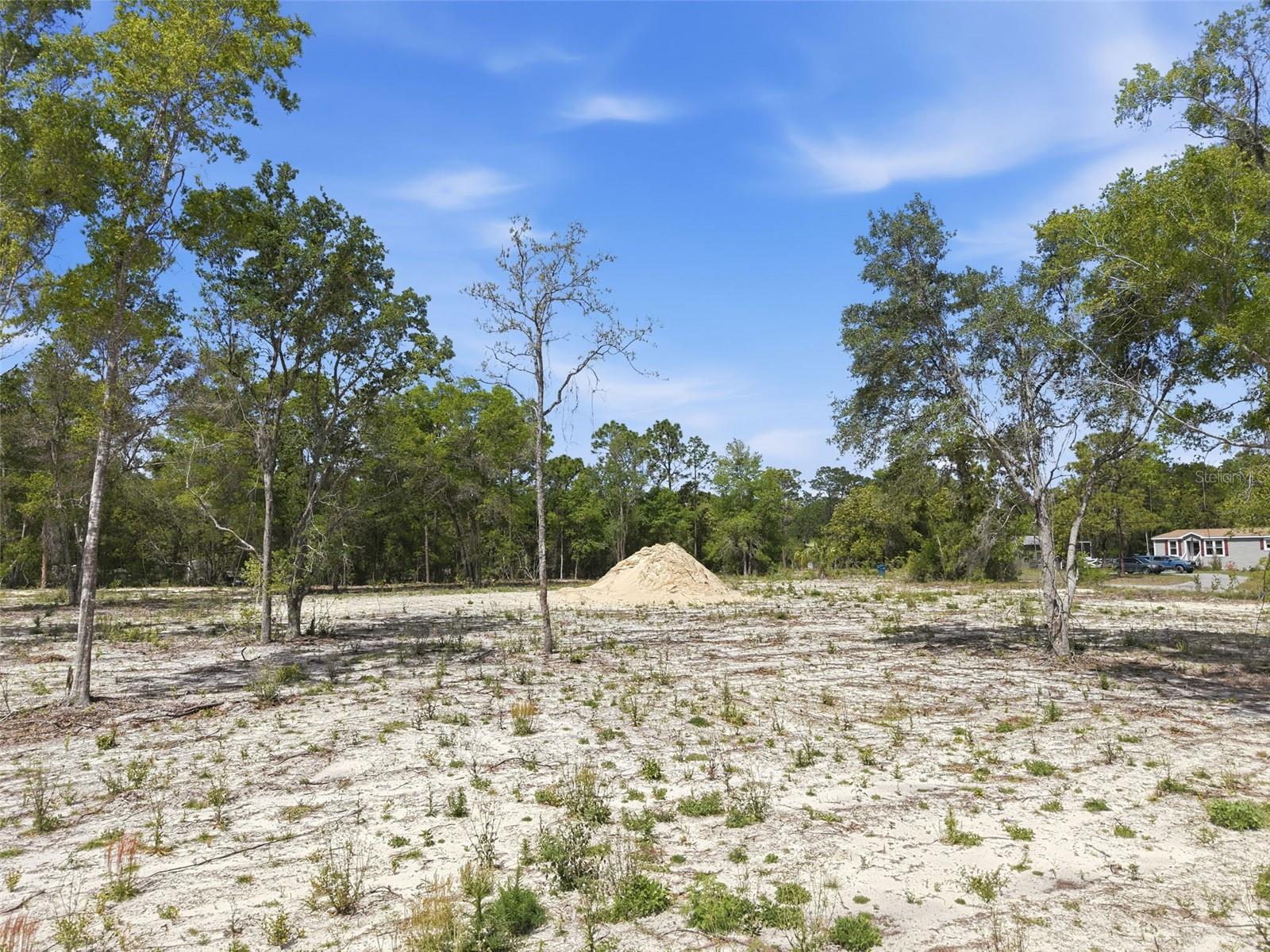 Image 9 of 18 For 14235 Carolina Dove Road