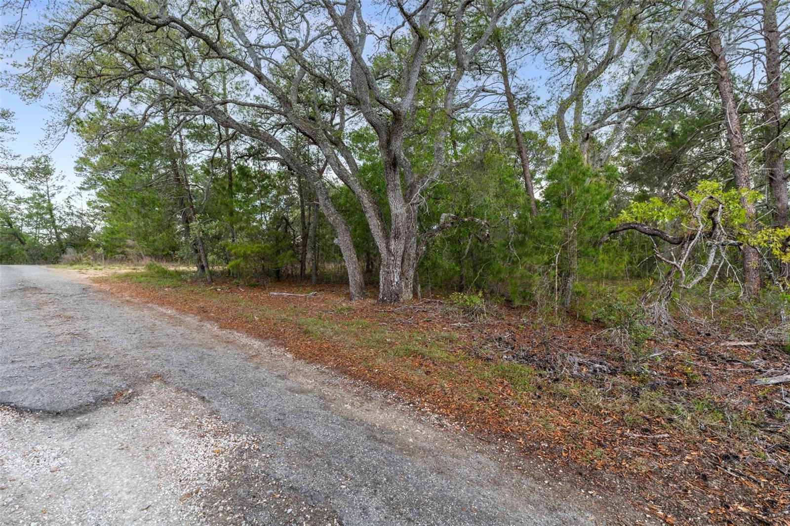 Image 9 of 18 For 0 Harrison Street