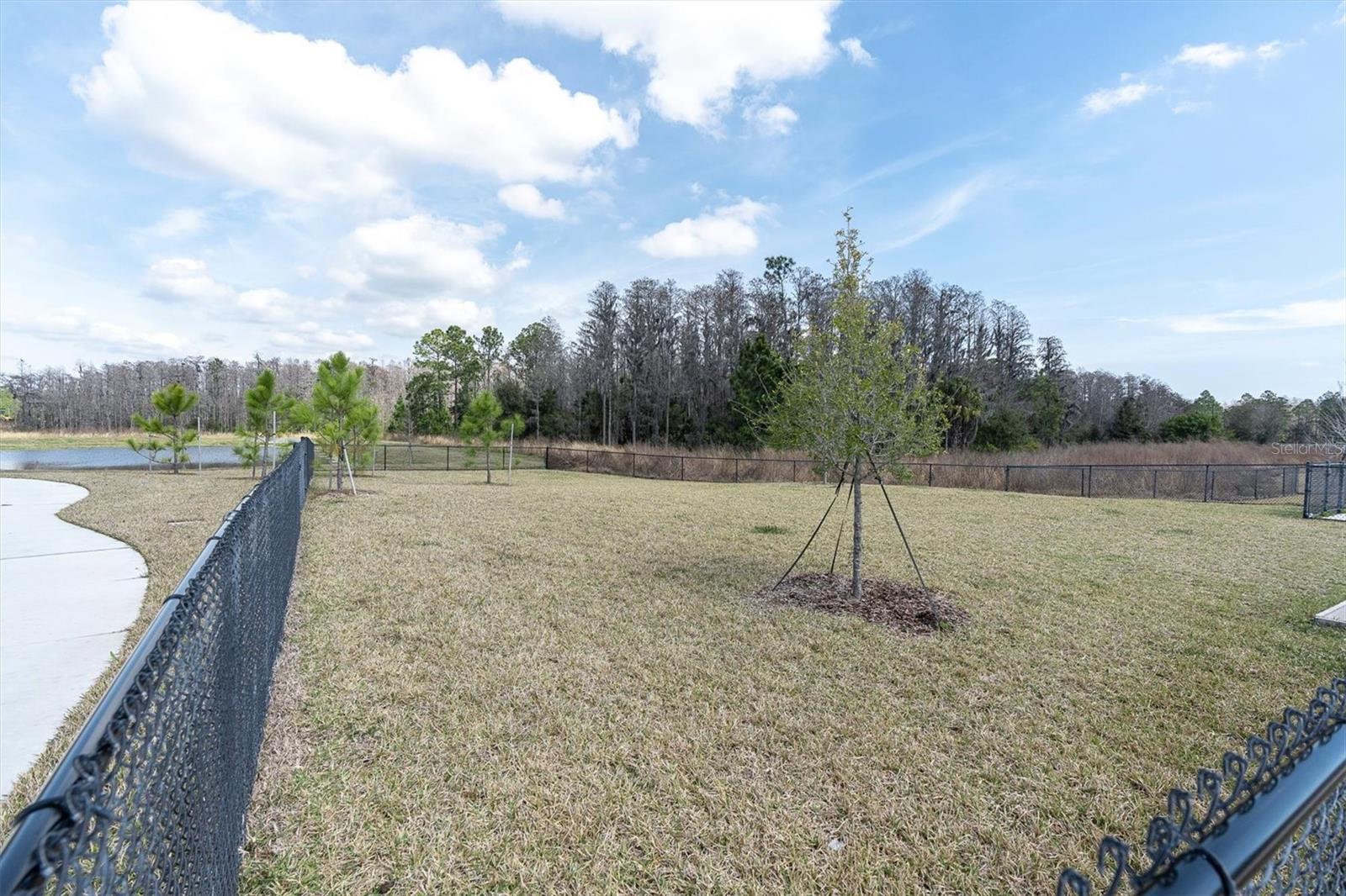 Image 51 of 56 For 3540 Durrance Street