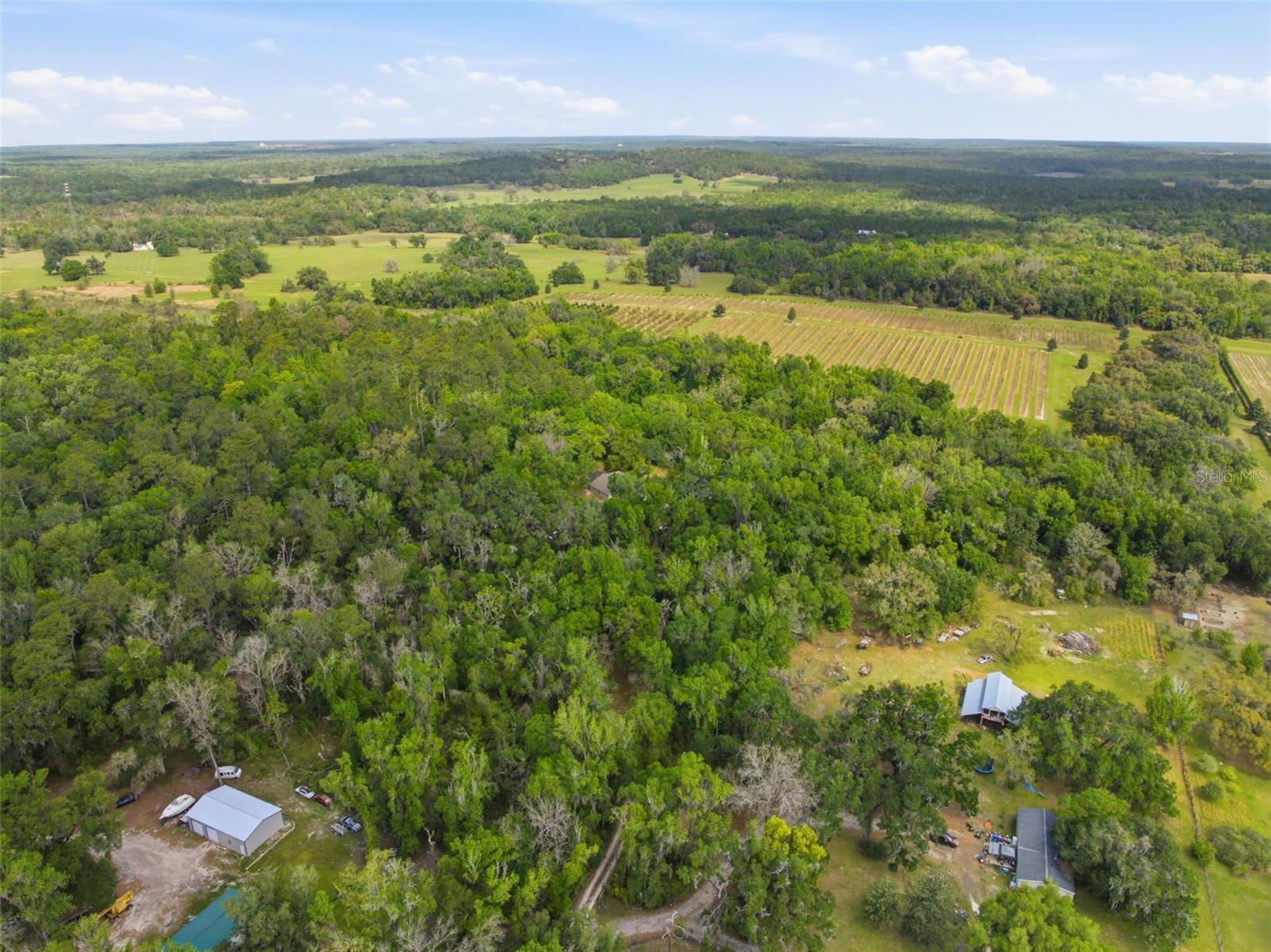 Image 56 of 64 For 11459 Trail Ridge Run
