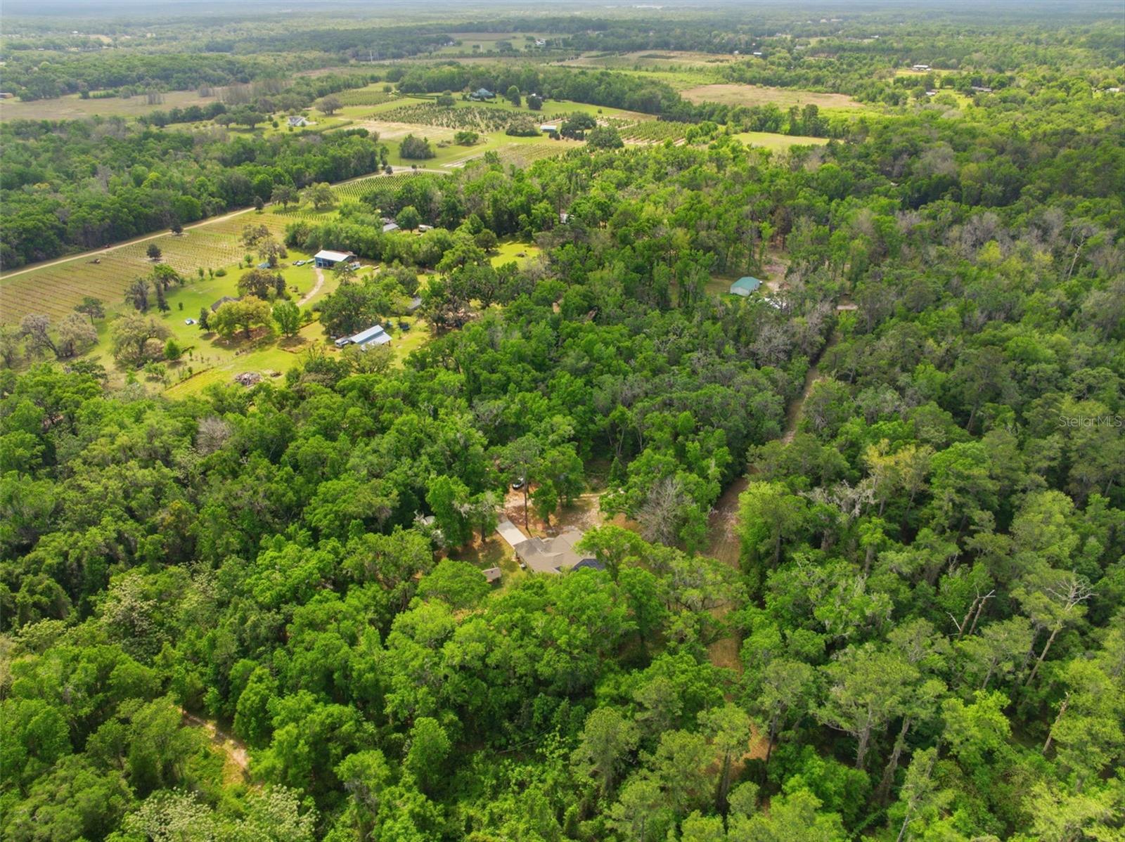 Image 58 of 64 For 11459 Trail Ridge Run