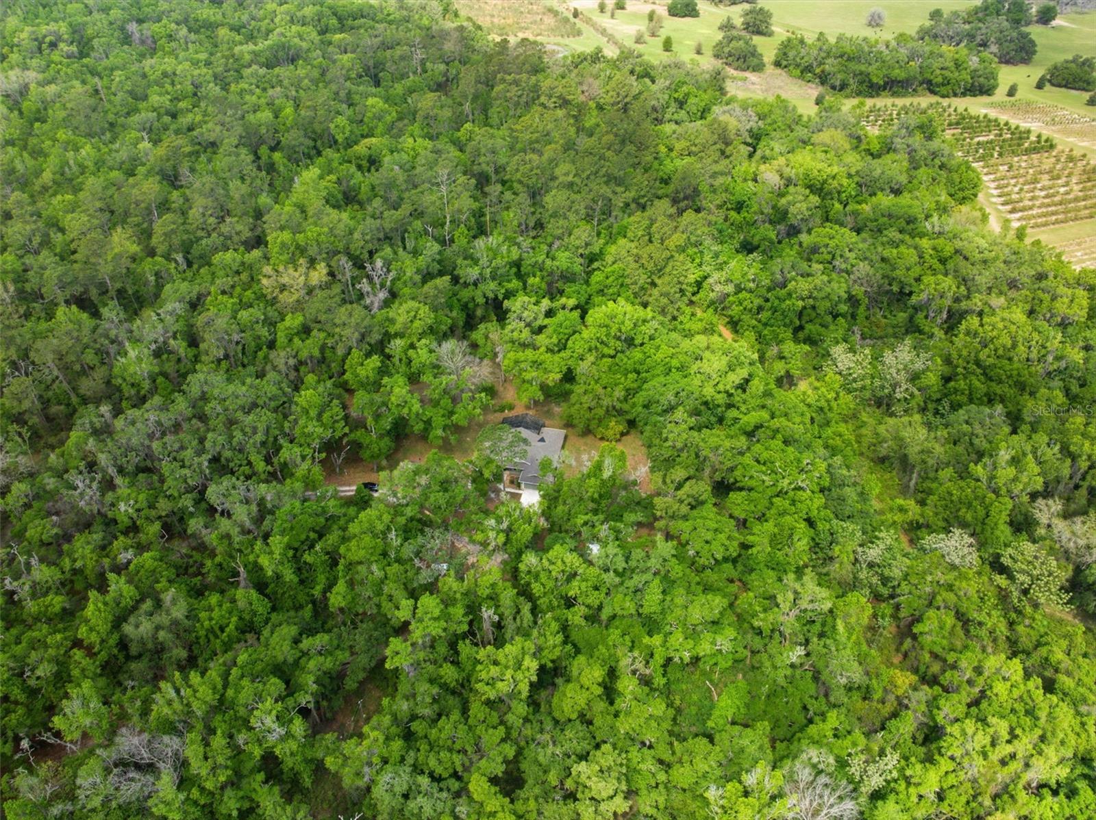 Image 59 of 64 For 11459 Trail Ridge Run