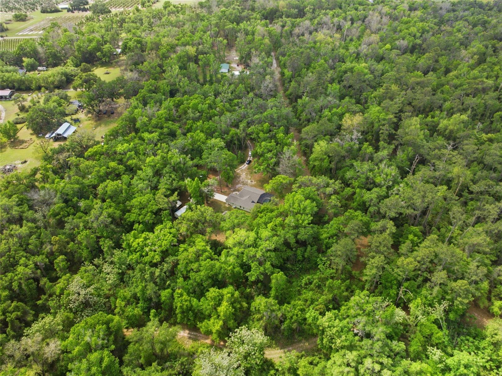 Image 60 of 64 For 11459 Trail Ridge Run