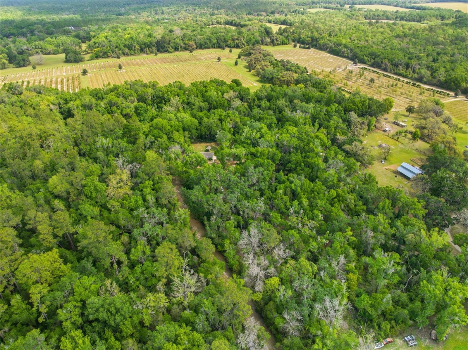 Image 62 of 64 For 11459 Trail Ridge Run