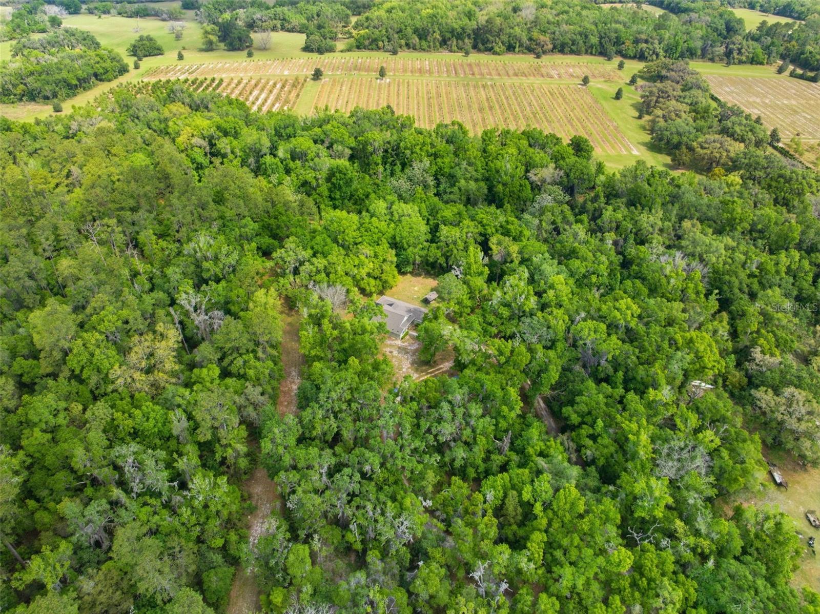 Image 63 of 64 For 11459 Trail Ridge Run