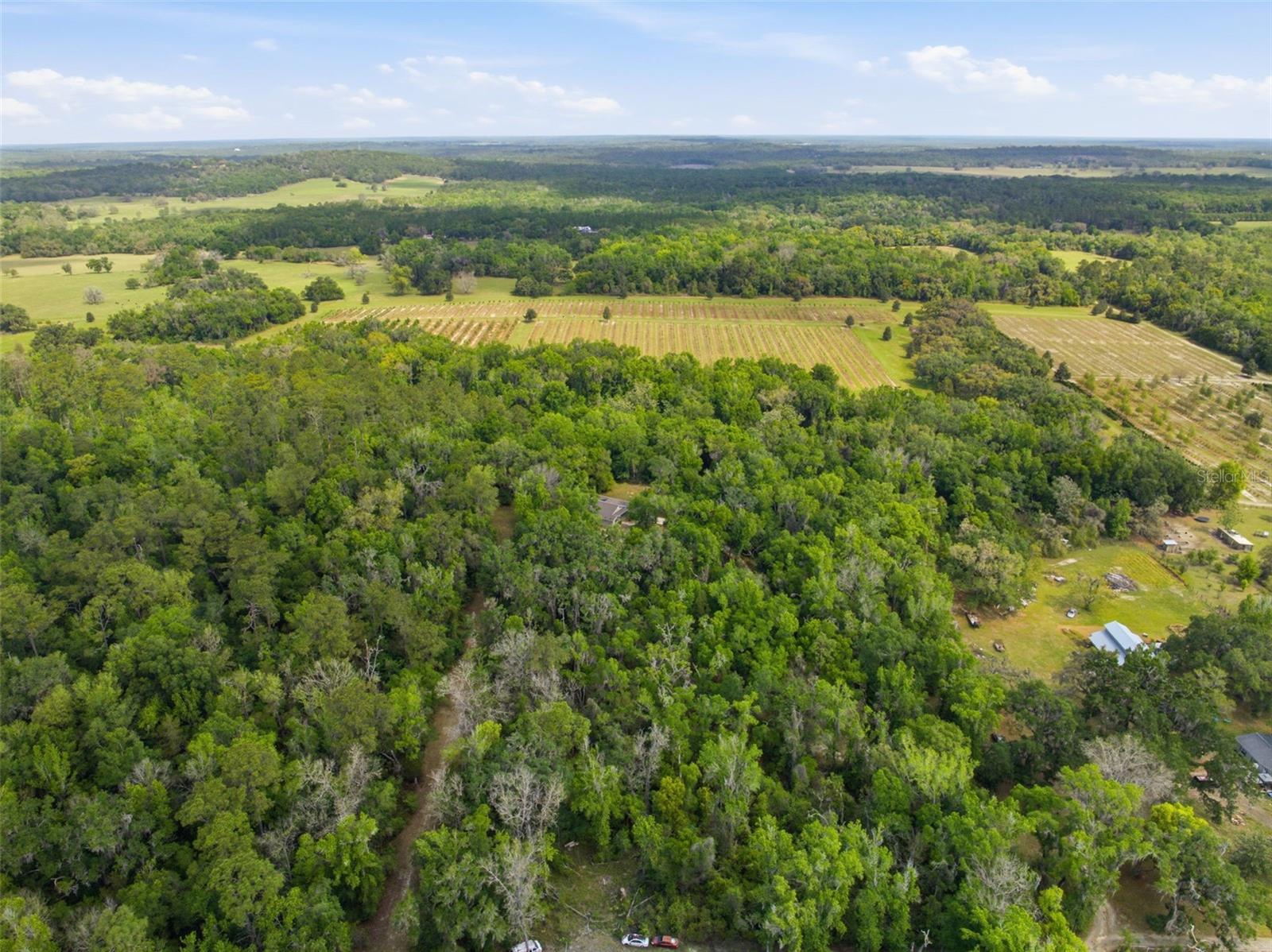 Image 64 of 64 For 11459 Trail Ridge Run