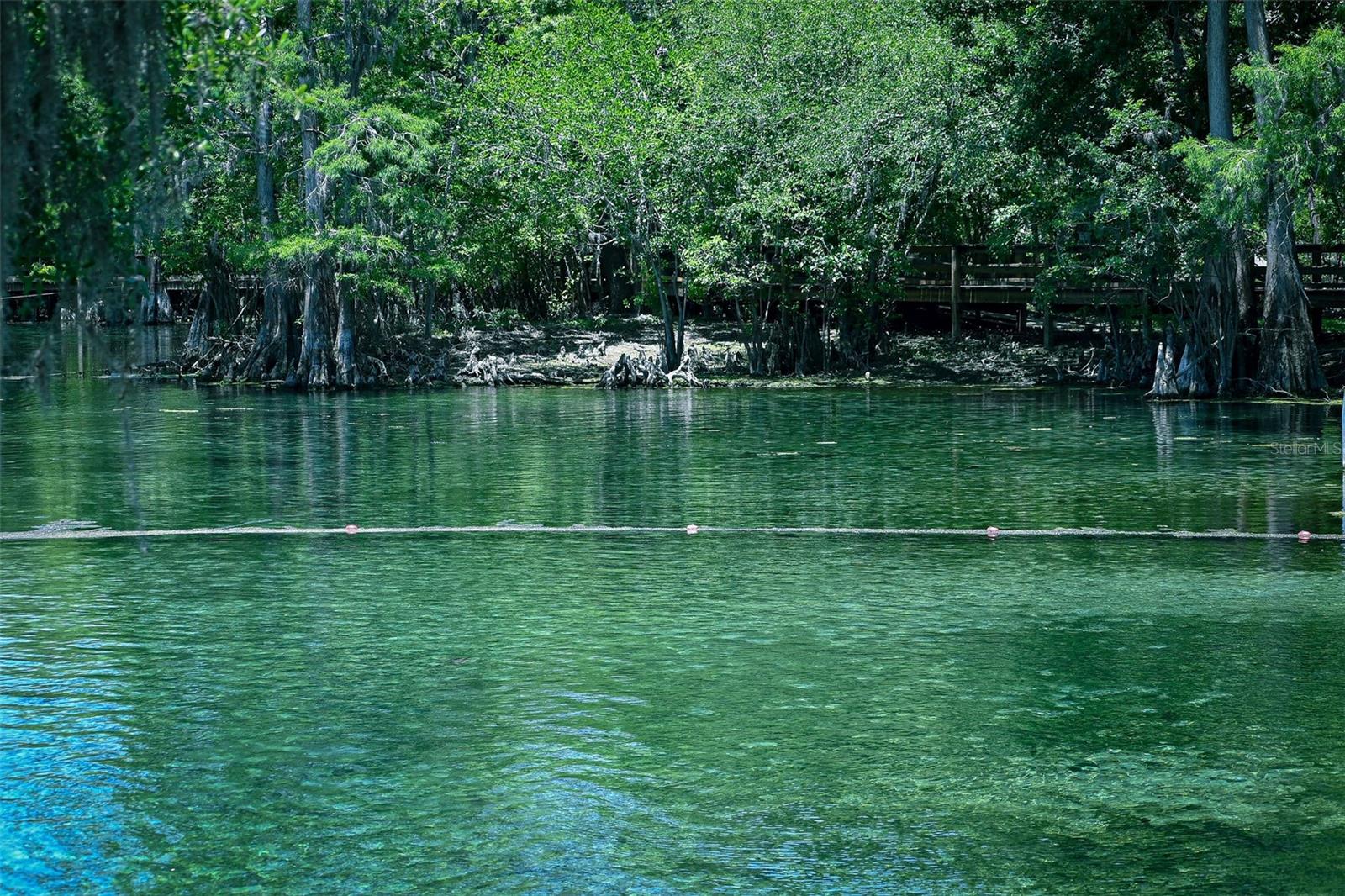 Image 36 of 38 For 7296 170th Street