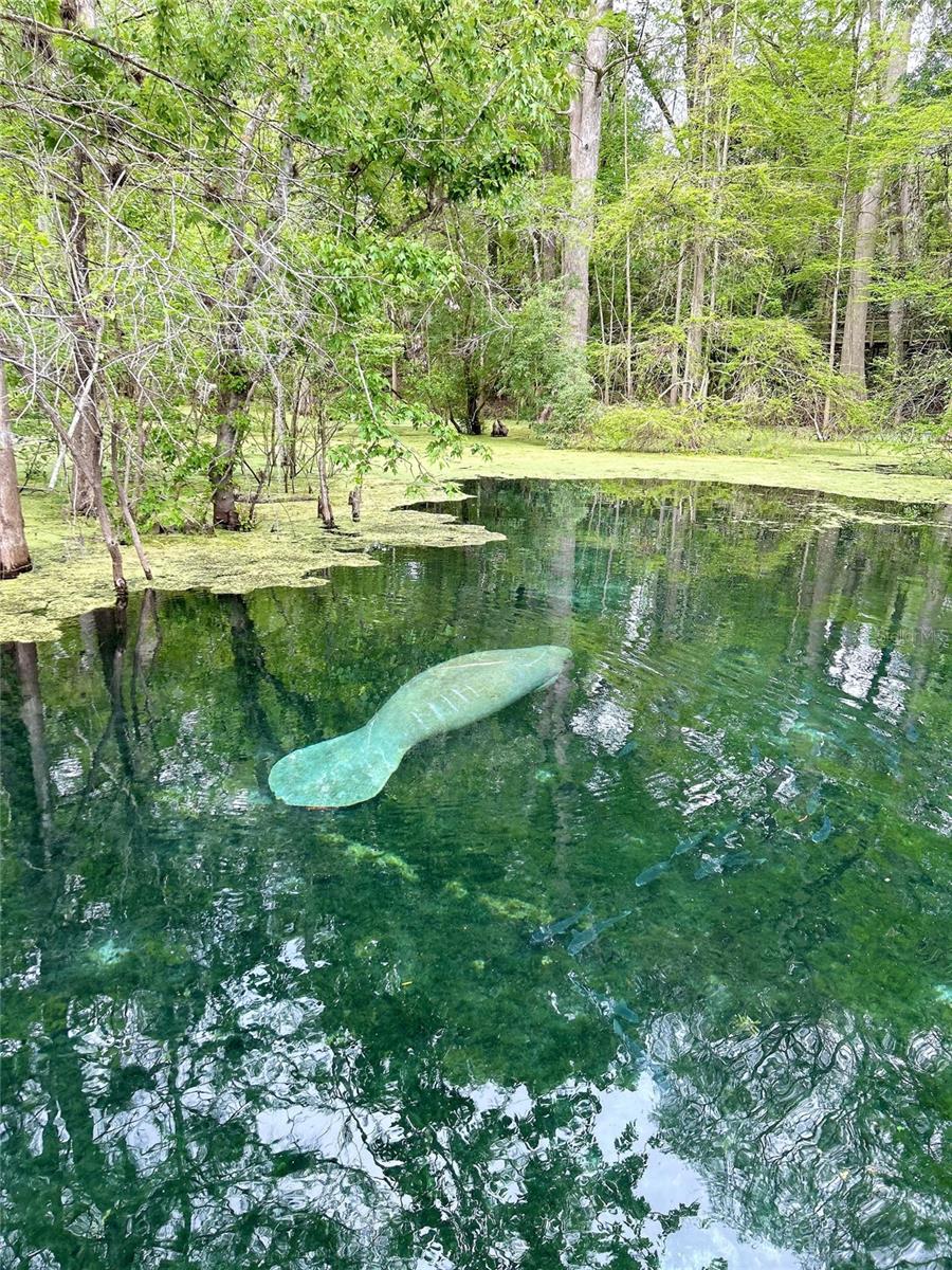 Image 37 of 38 For 7296 170th Street