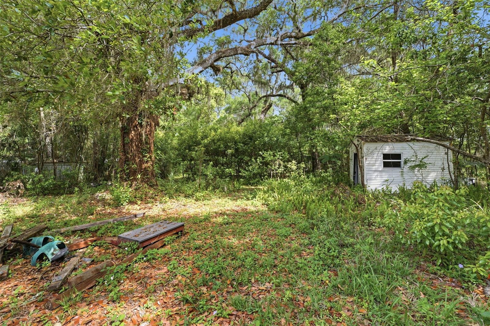 Image 20 of 49 For 27 Croom Road