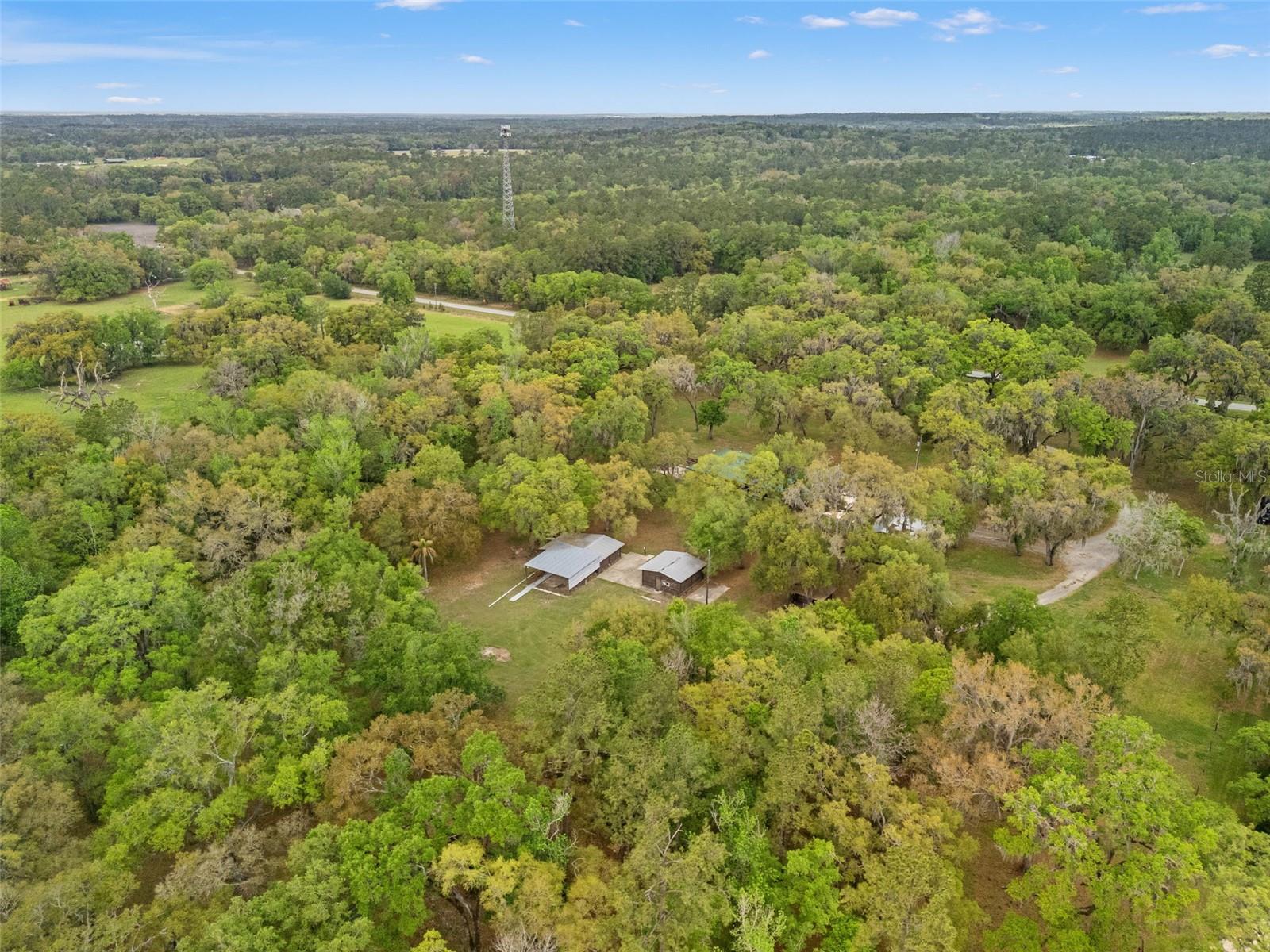 Listing photo id 47 for 22250 Hayman Road