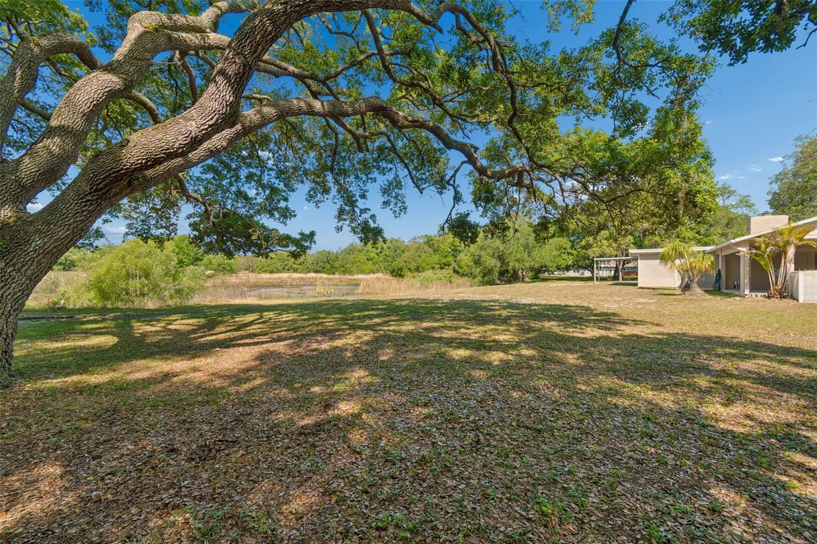 Image 47 of 53 For 9035 Sharon Drive