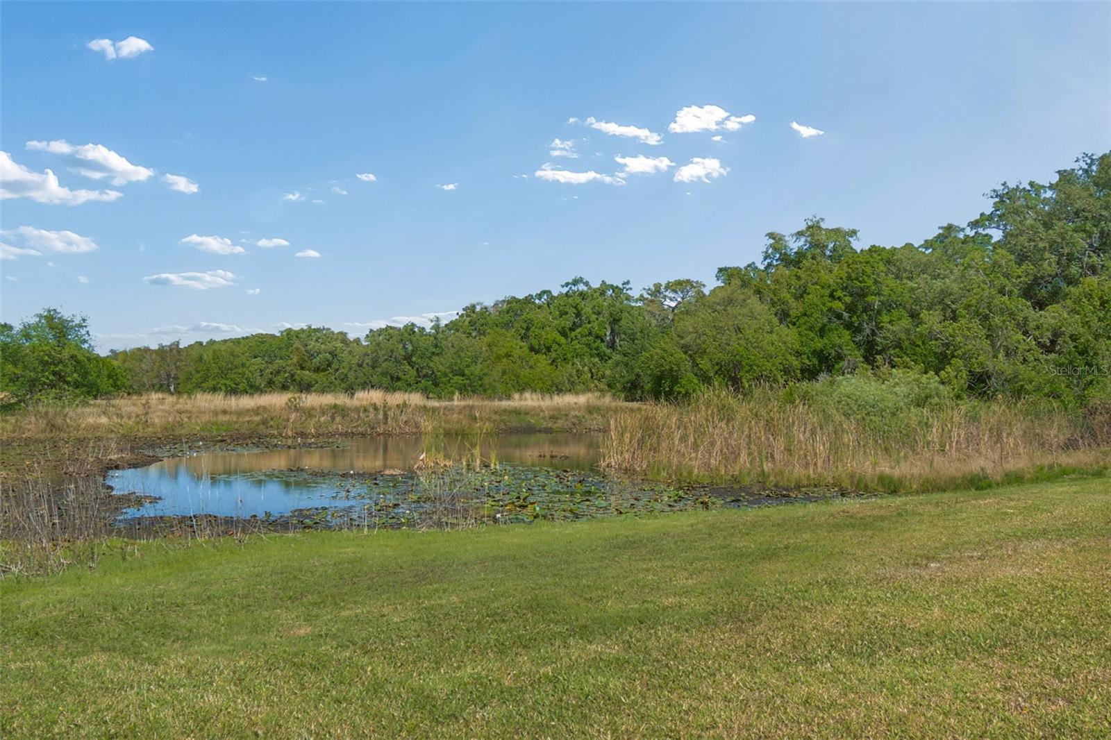 Image 48 of 53 For 9035 Sharon Drive