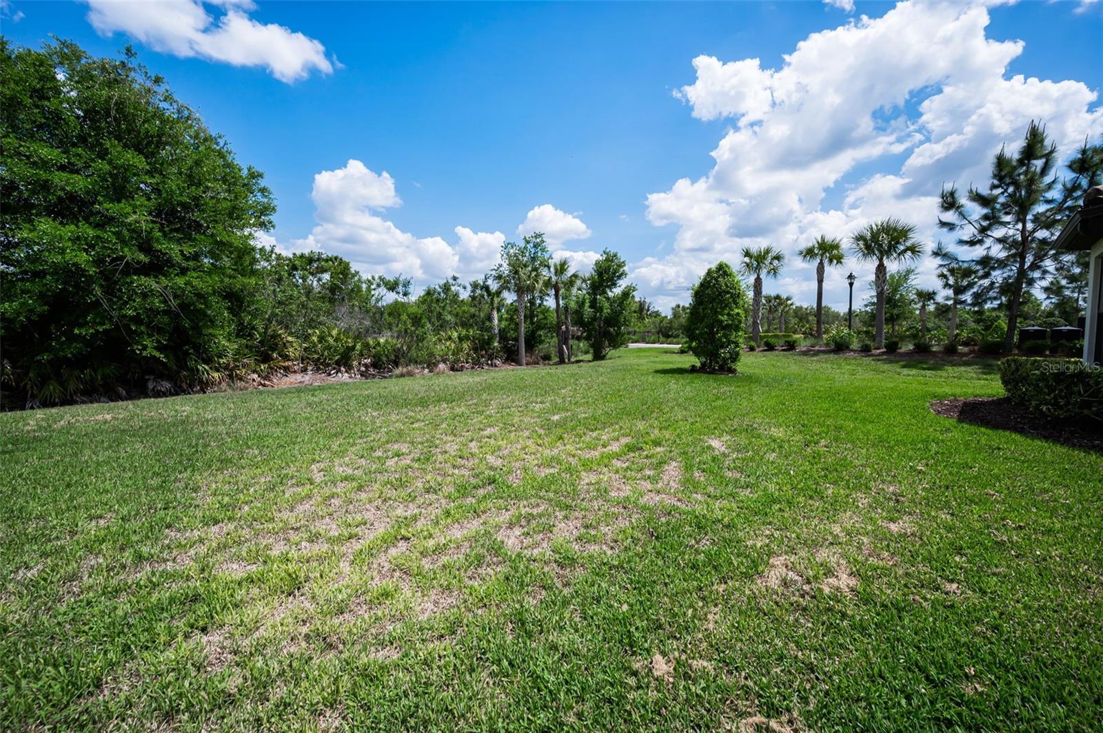 Image 41 of 72 For 11151 Calluna Drive