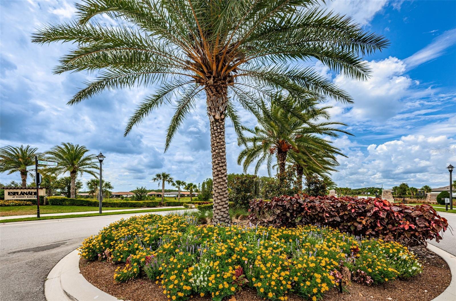 Image 60 of 72 For 11151 Calluna Drive