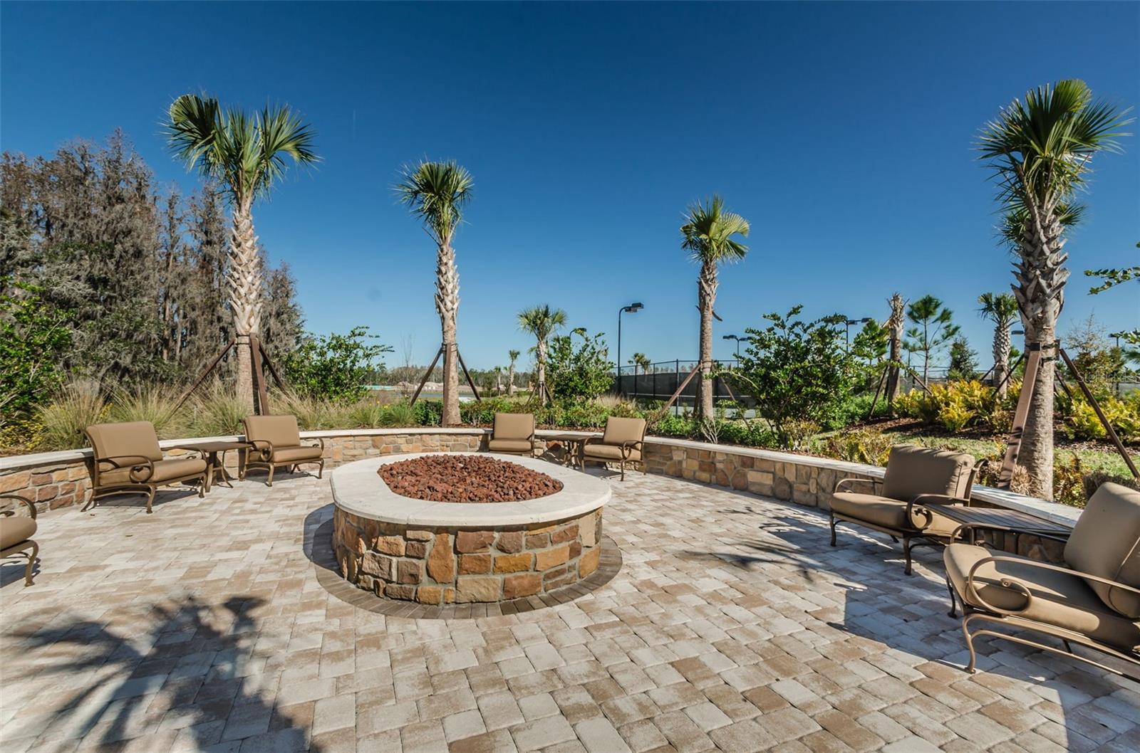 Image 63 of 72 For 11151 Calluna Drive