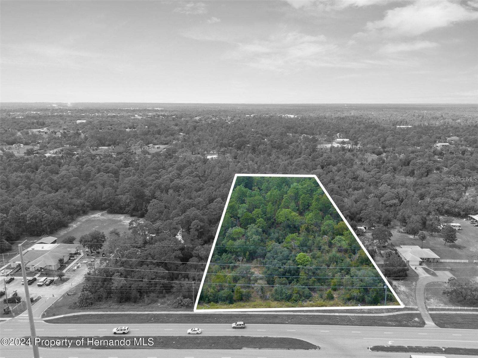 Listing photo id 13 for Sunshine Grove Road