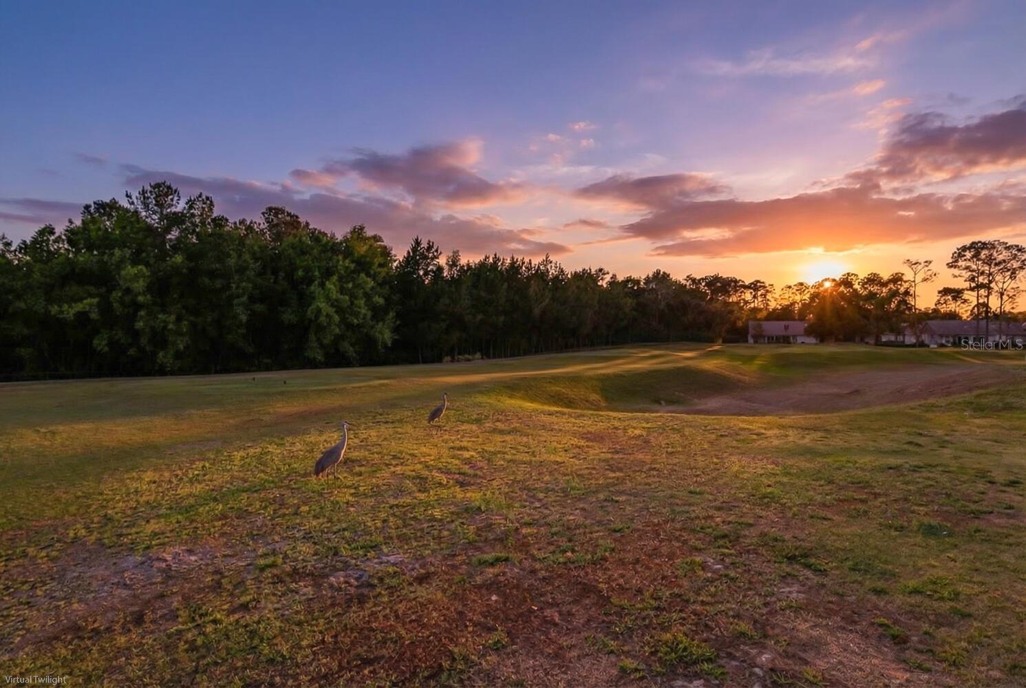 Image 56 of 88 For 11718 Wheatfield Loop