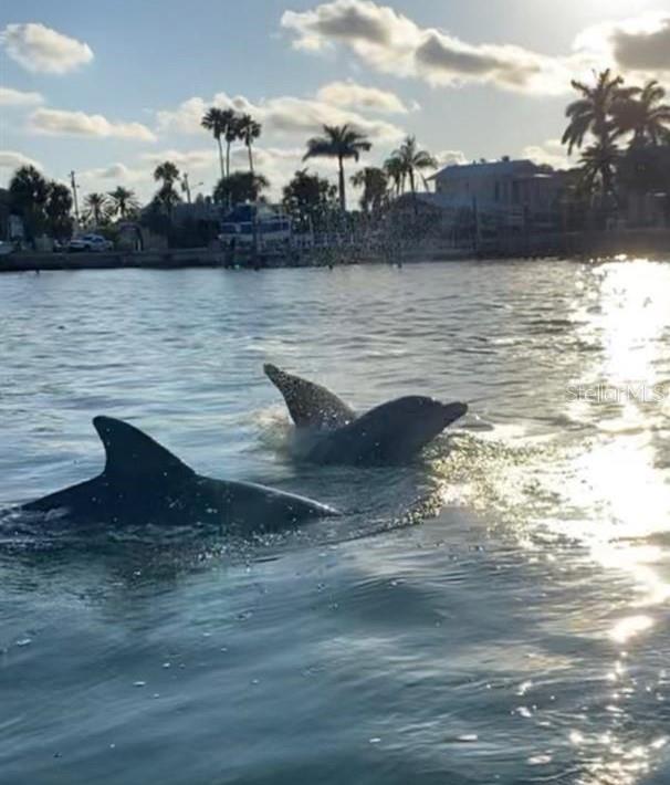 Image 74 of 74 For 7 Eagle Lane