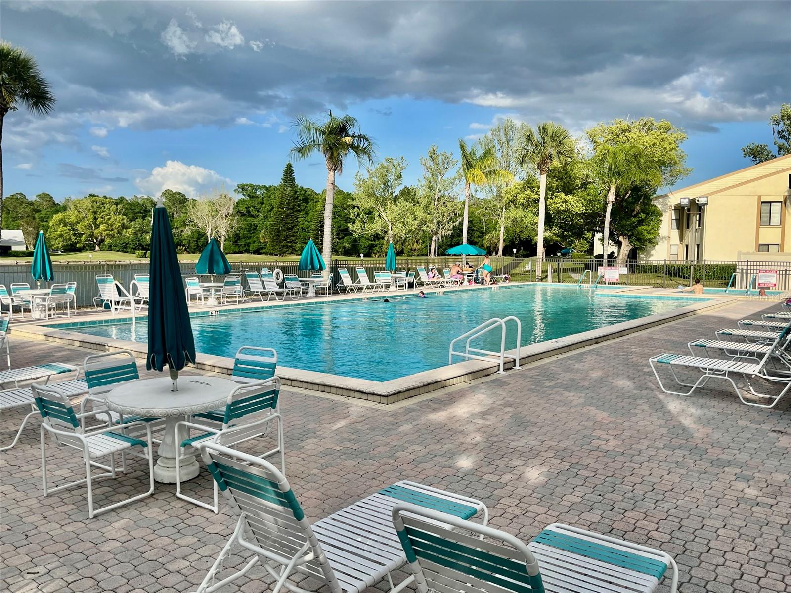 Image 43 of 46 For 1423 Pine Glen Lane H2