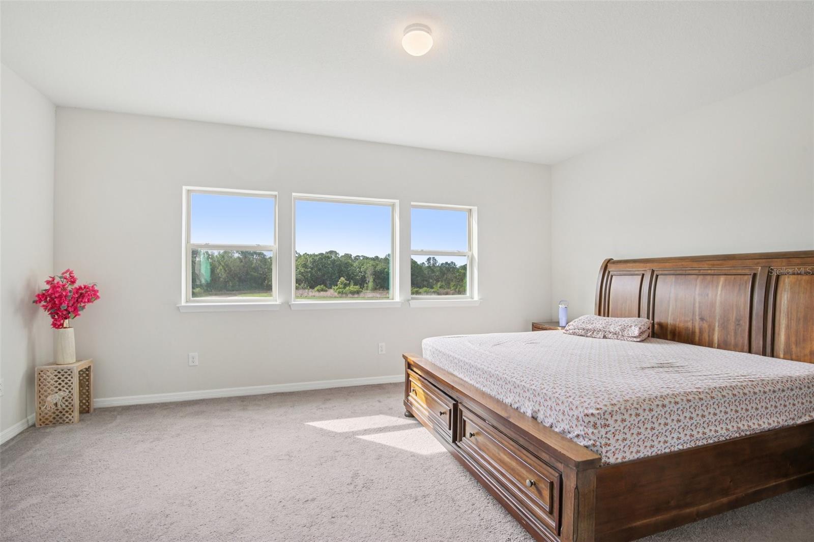 Image 19 of 89 For 11032 Sundrift Drive