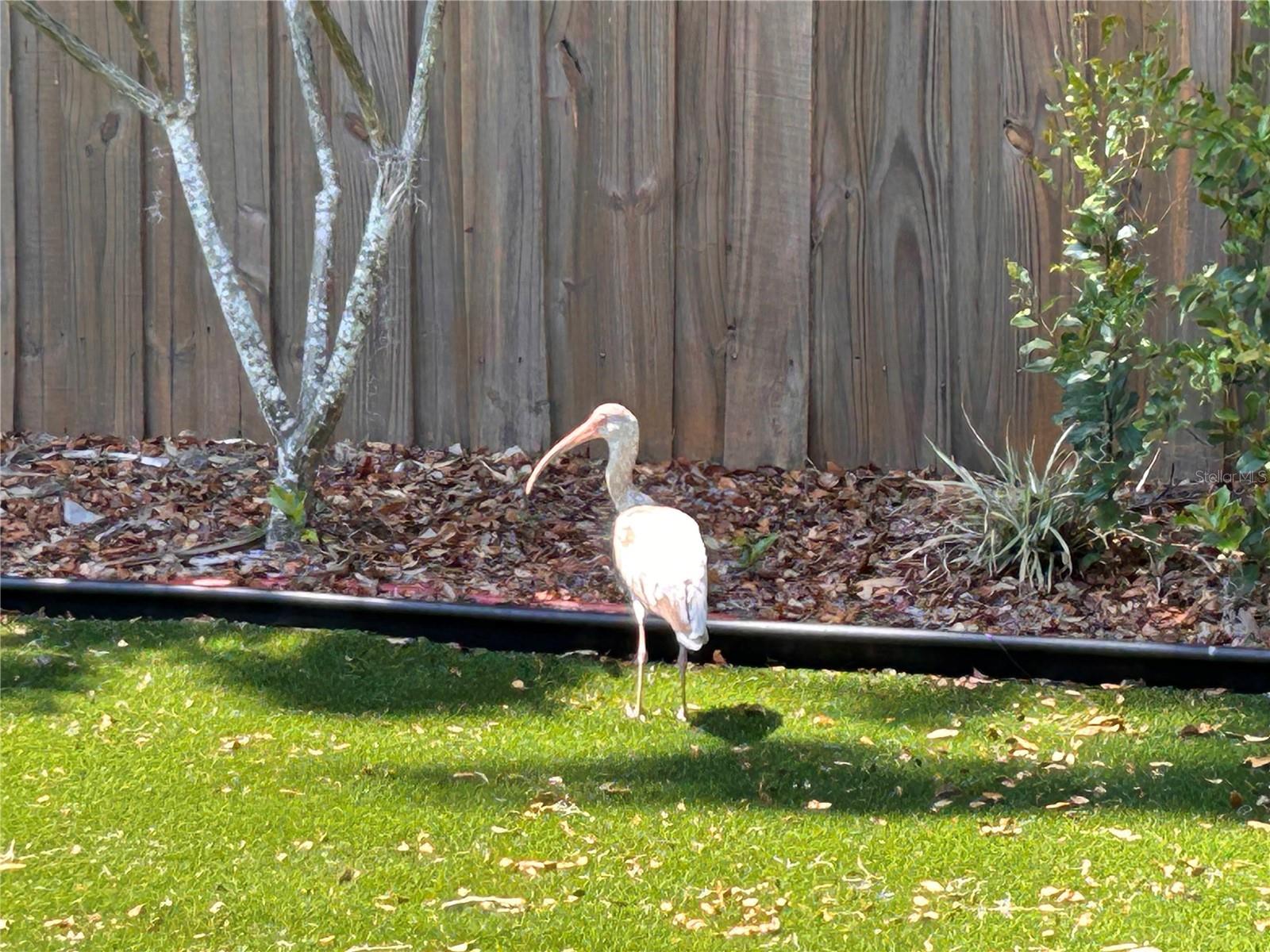 Image 14 of 14 For 6029 Wyoming Avenue