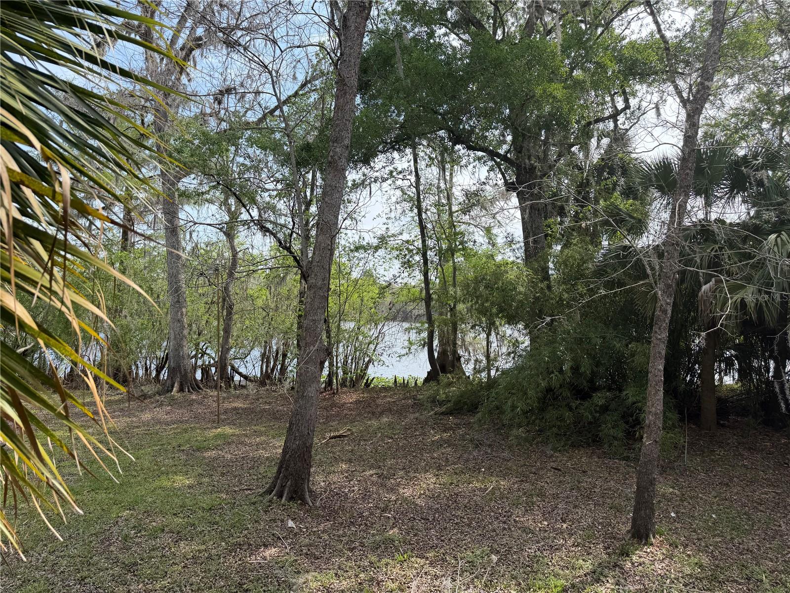 Image 48 of 50 For 124 824th Street