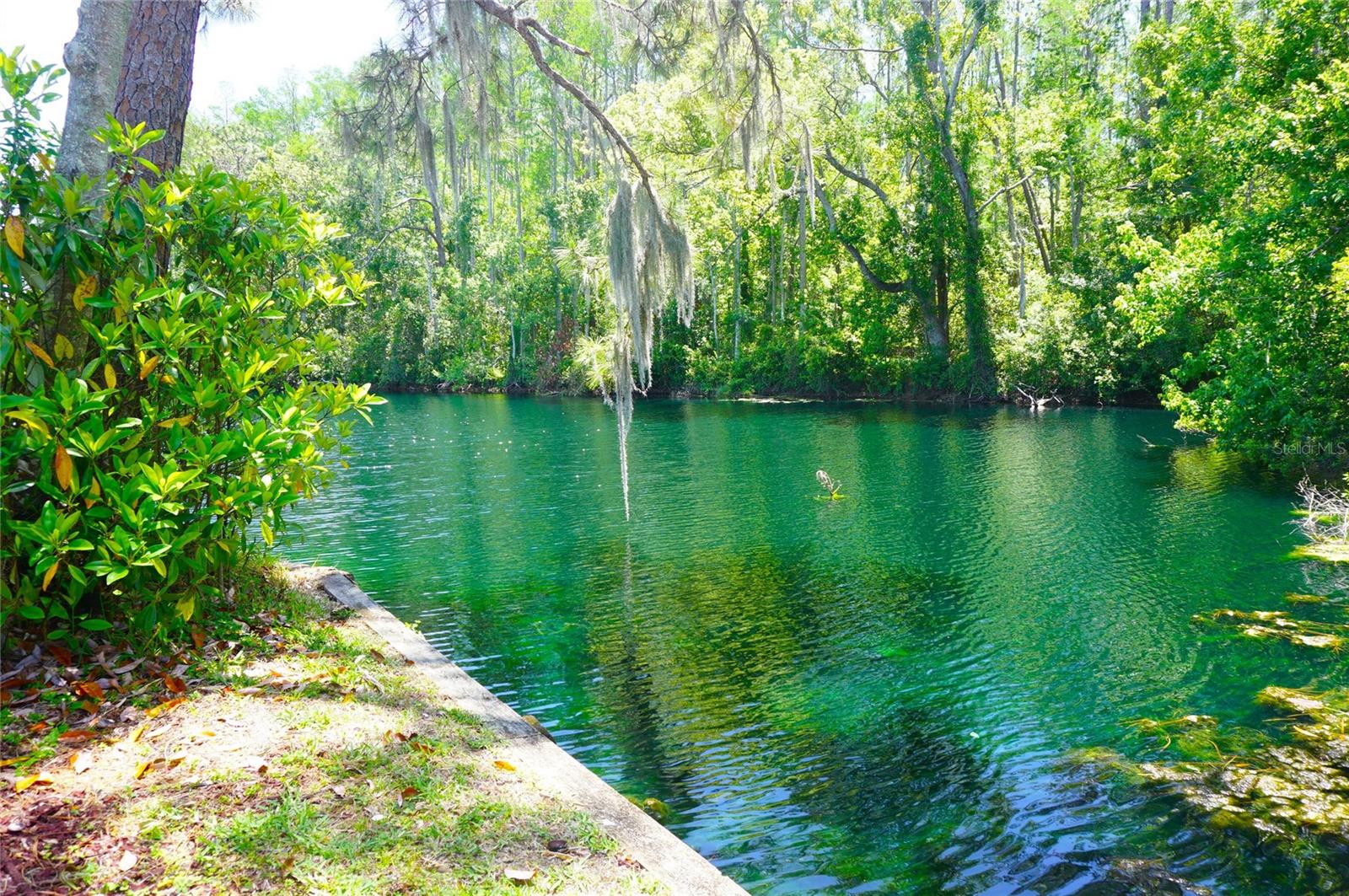 Image 3 of 42 For 1873 Mazo Manor T9