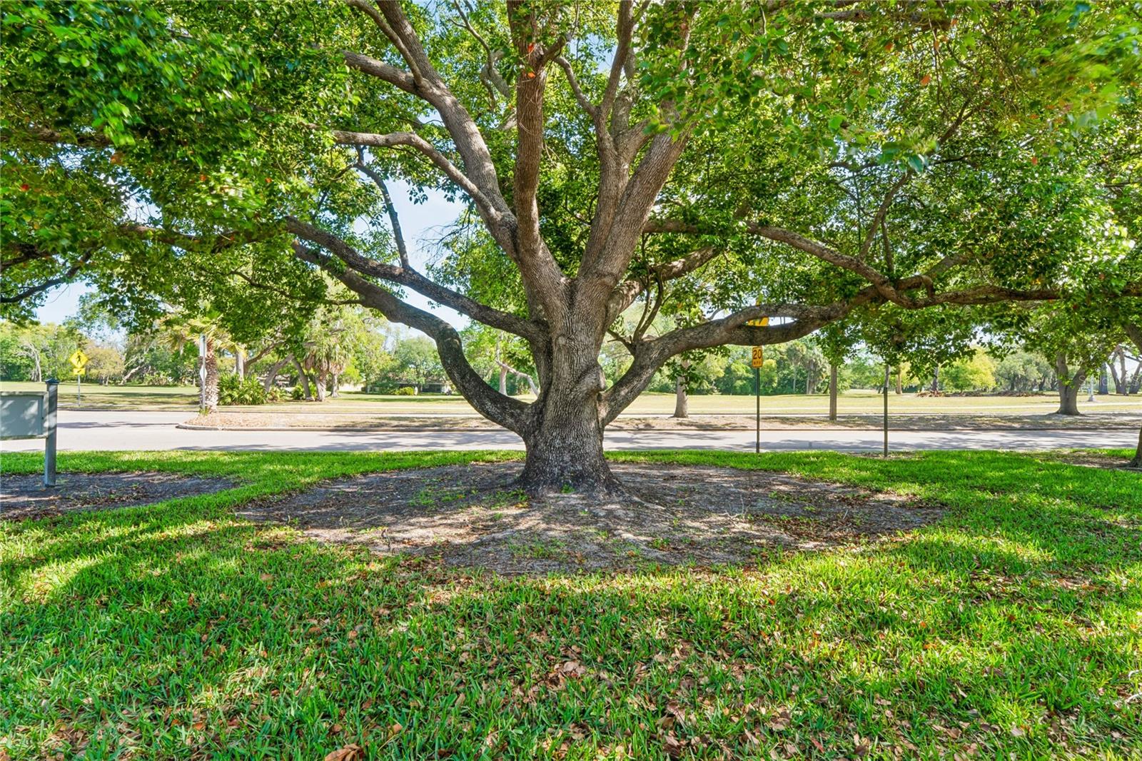 Image 36 of 50 For 12518 Dearborn Drive 12518