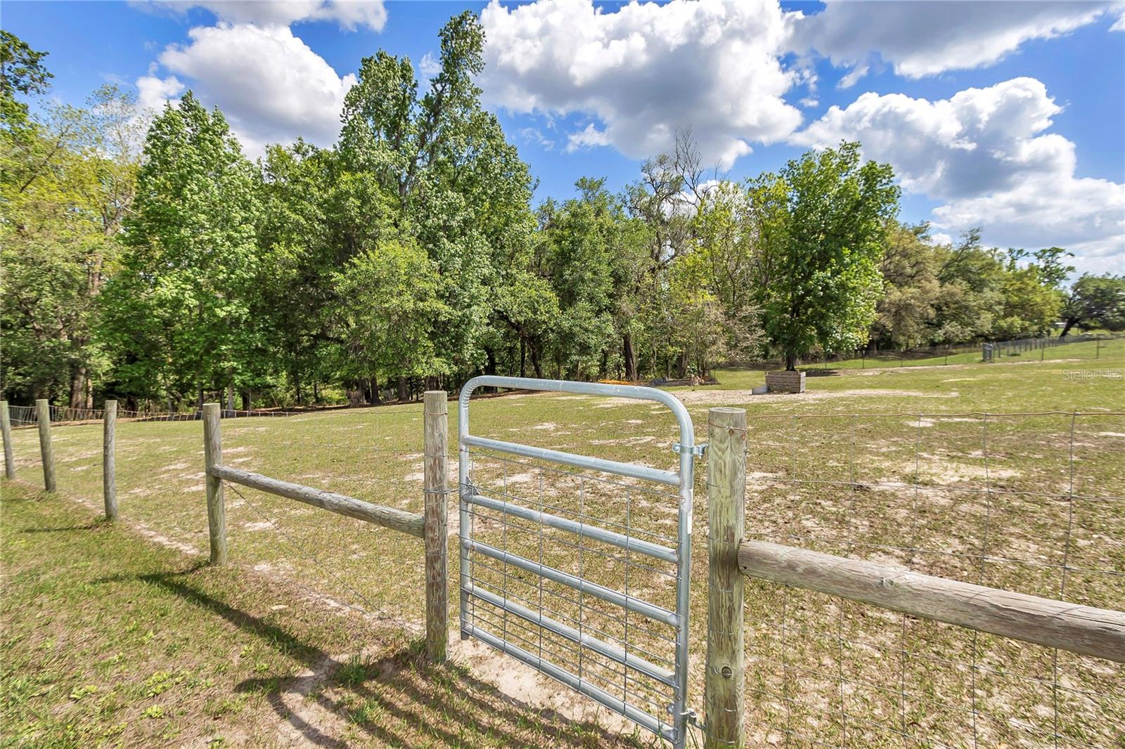 Image 32 of 48 For 2350 Rose Terrace Path