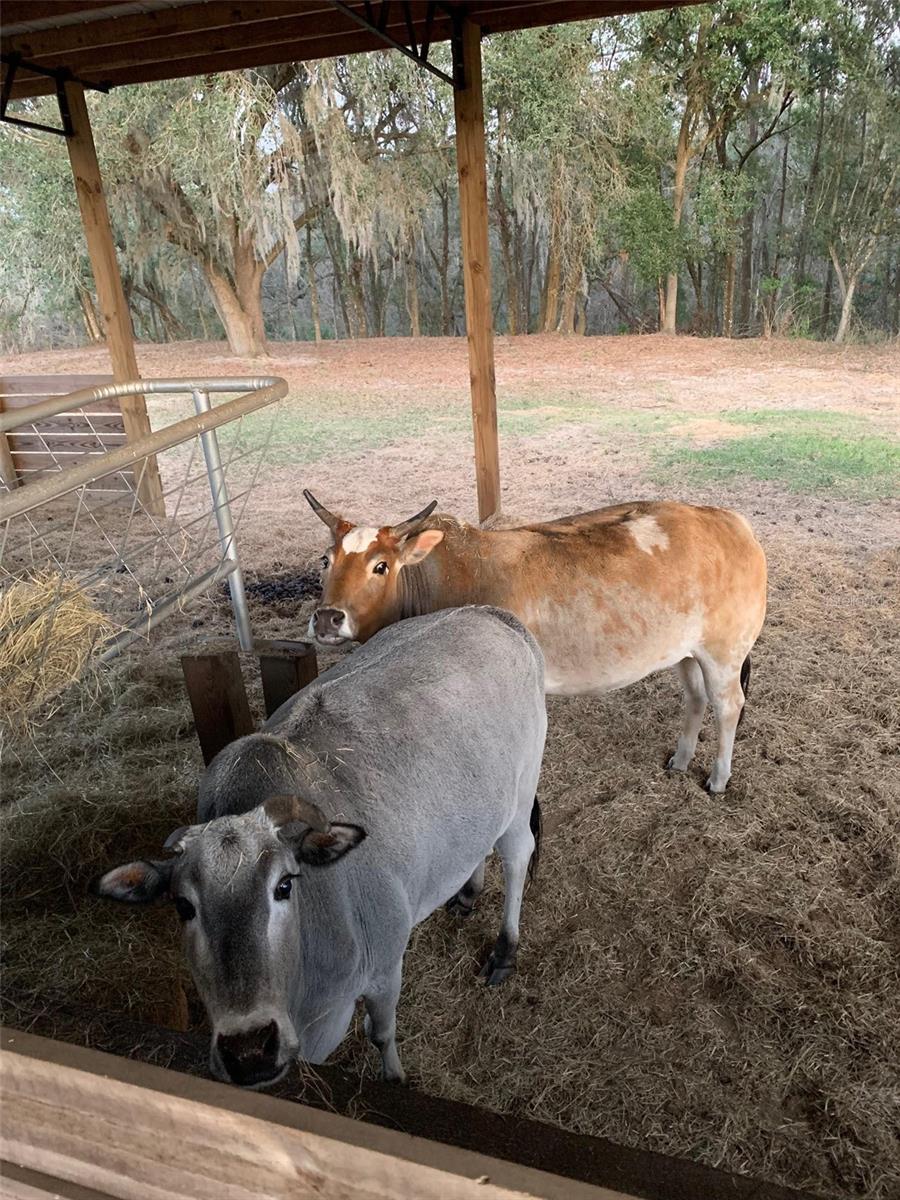 Image 37 of 48 For 2350 Rose Terrace Path