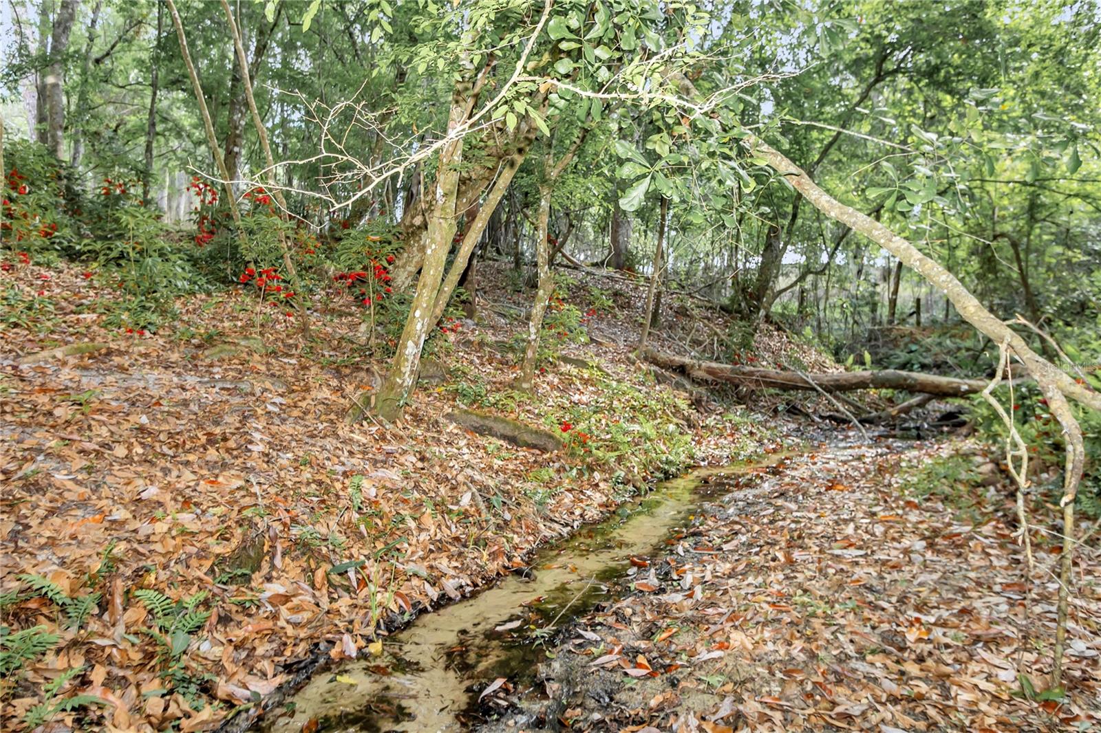 Image 39 of 48 For 2350 Rose Terrace Path