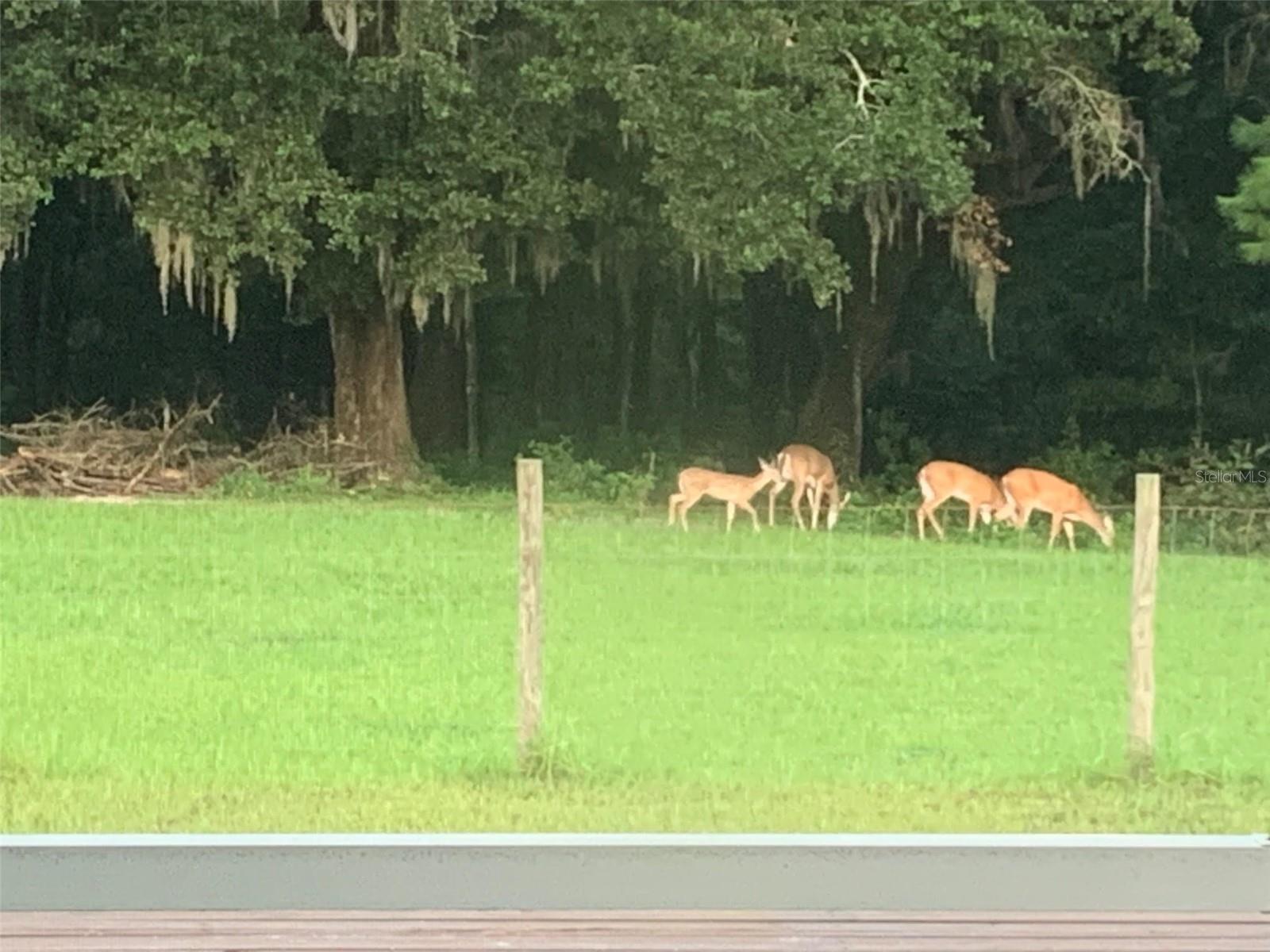 Image 40 of 48 For 2350 Rose Terrace Path