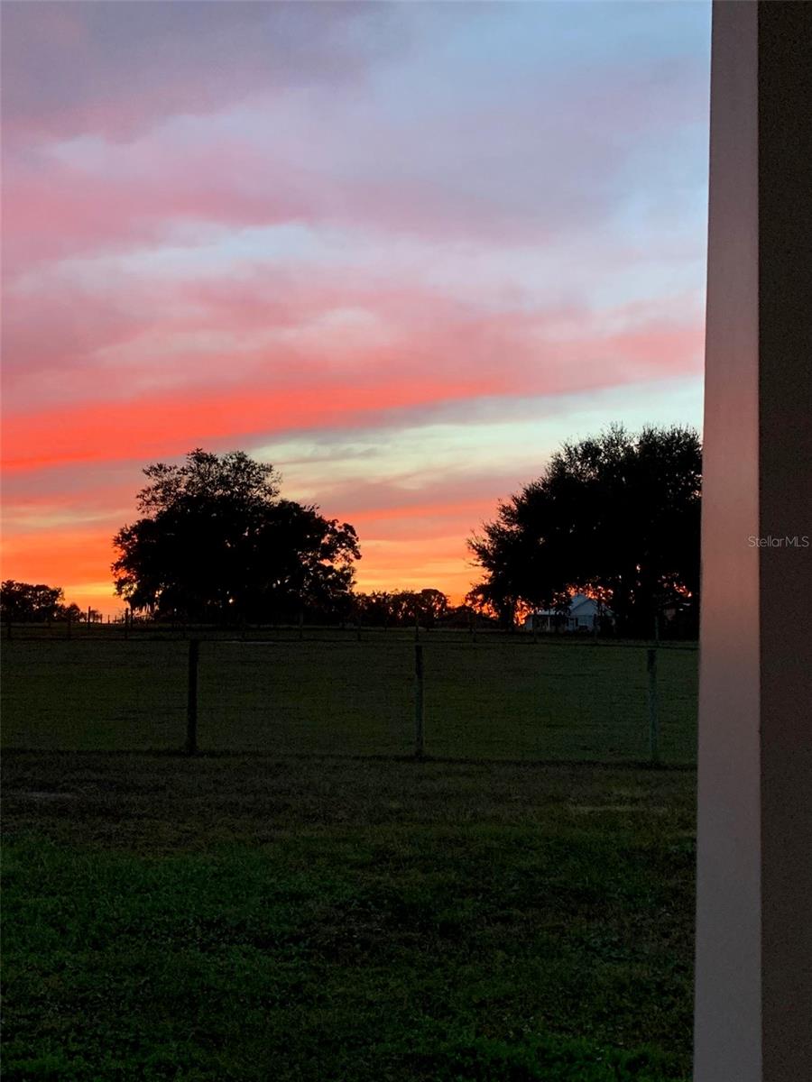 Image 48 of 48 For 2350 Rose Terrace Path