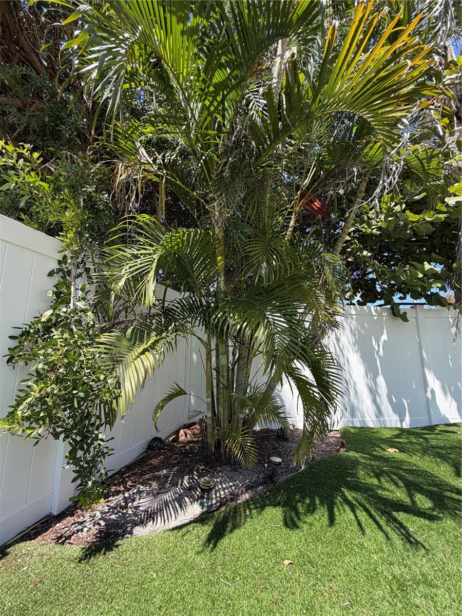 Image 3 of 24 For 3500 Overlook Drive Ne