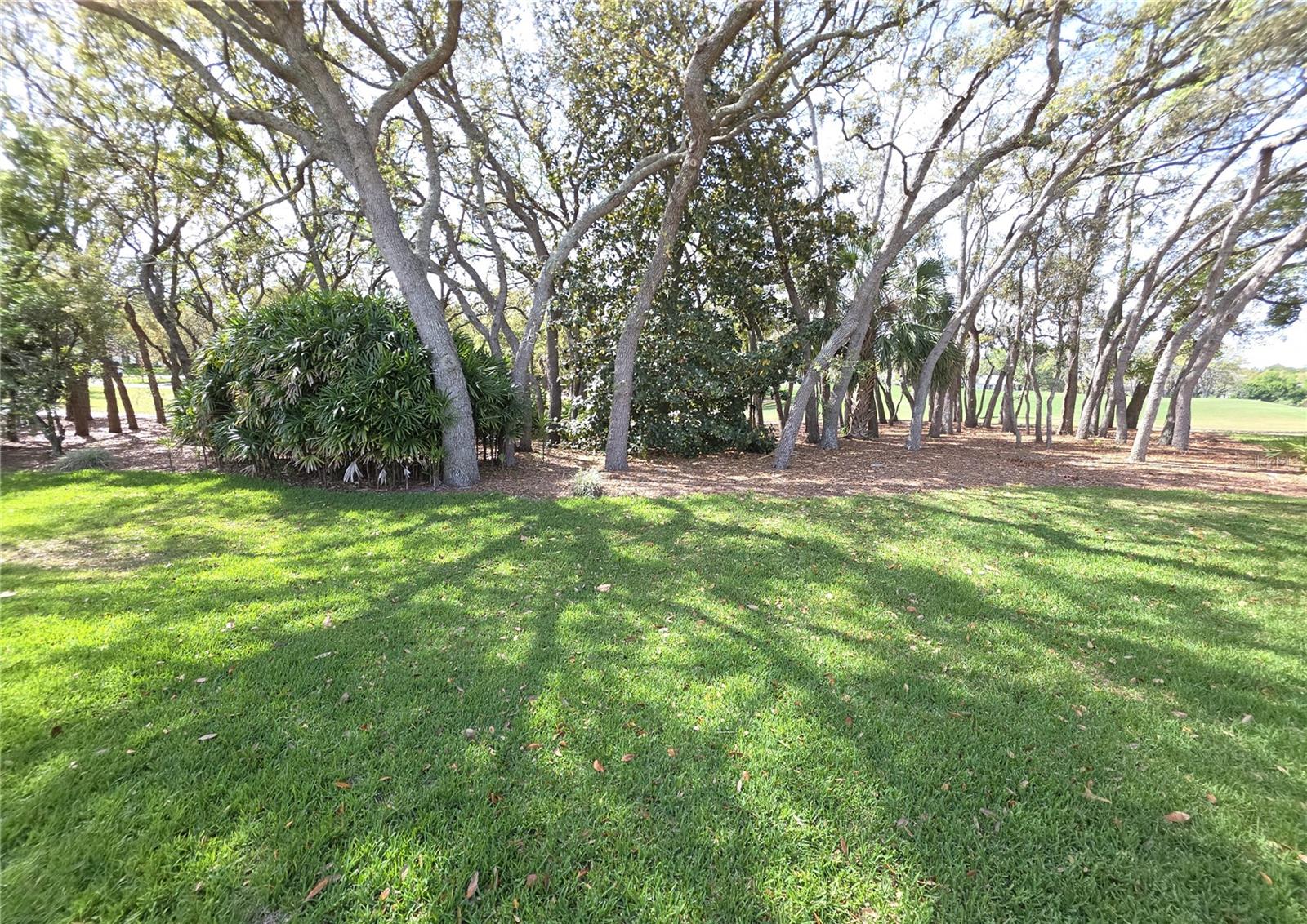 Image 25 of 28 For 2019 Quailwood Lane