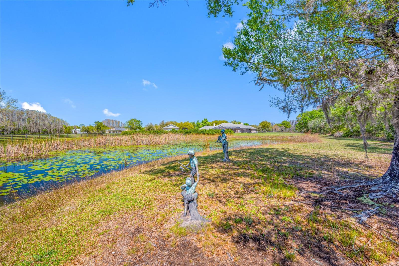 Listing photo id 54 for 11939 Pasco Trails Boulevard