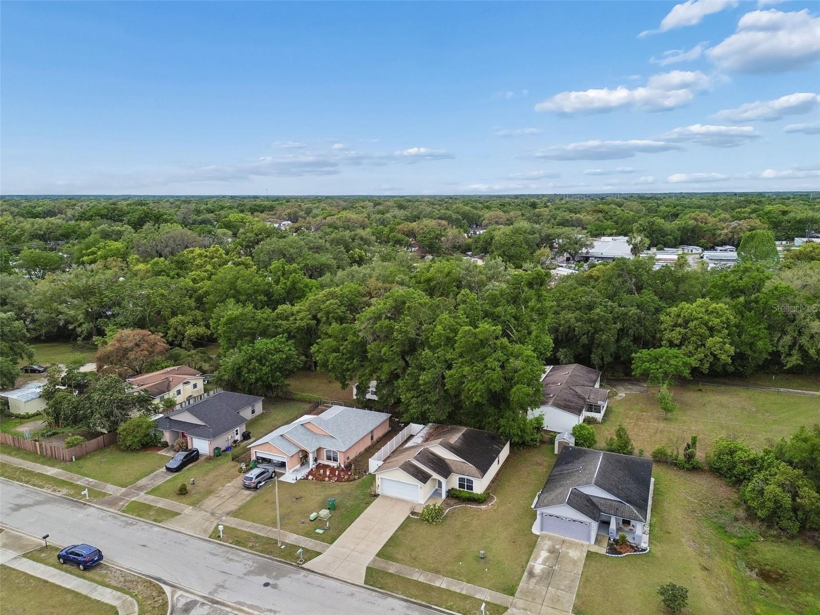 Image 47 of 58 For 4631 Eagle Ranch Drive