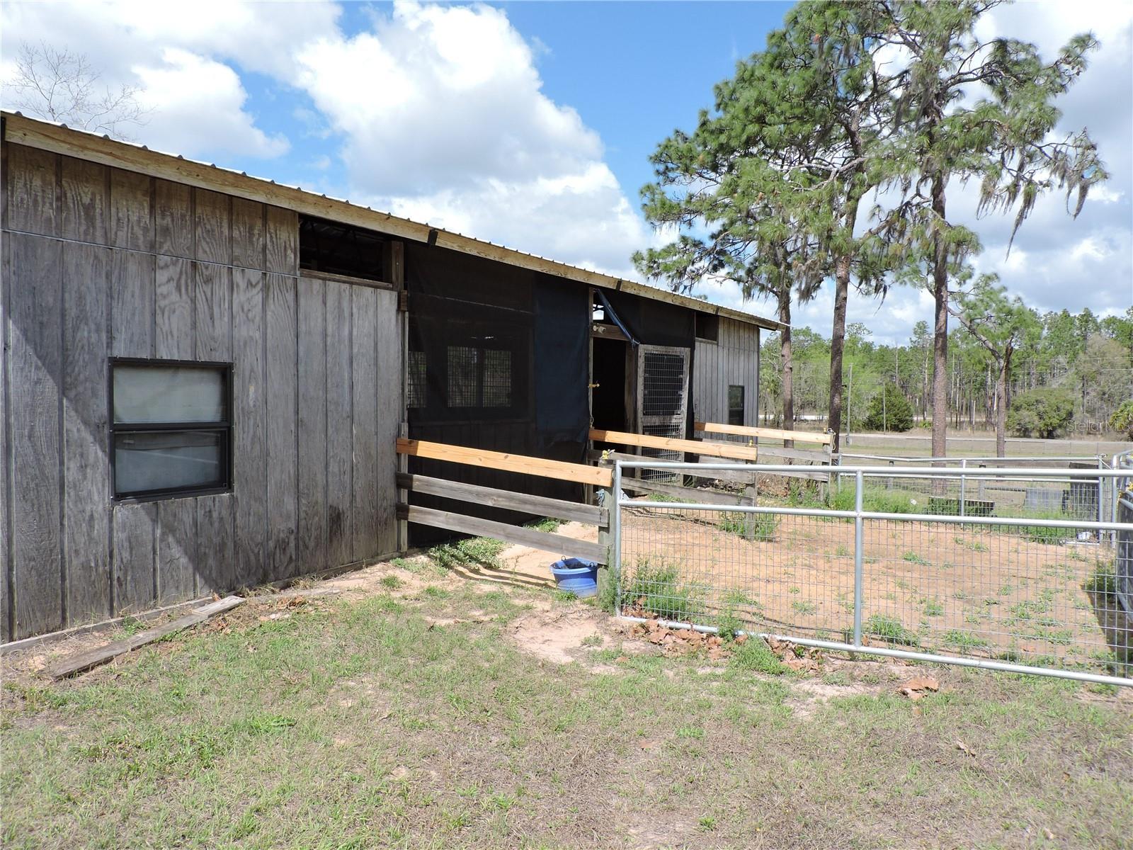 Image 13 of 42 For 28448 Wildlife Lane