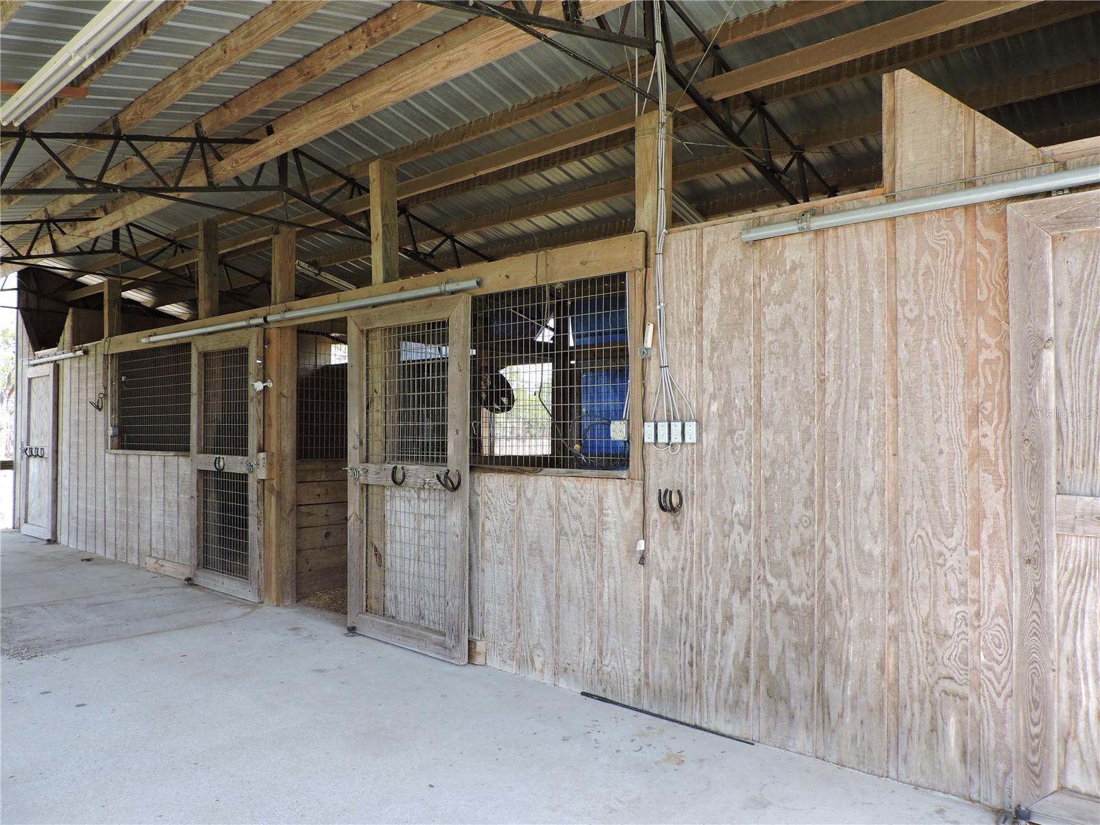 Image 15 of 42 For 28448 Wildlife Lane