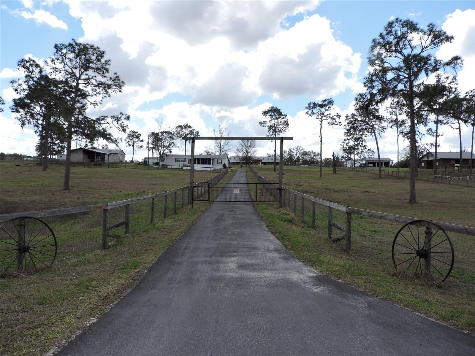 Image 3 of 42 For 28448 Wildlife Lane