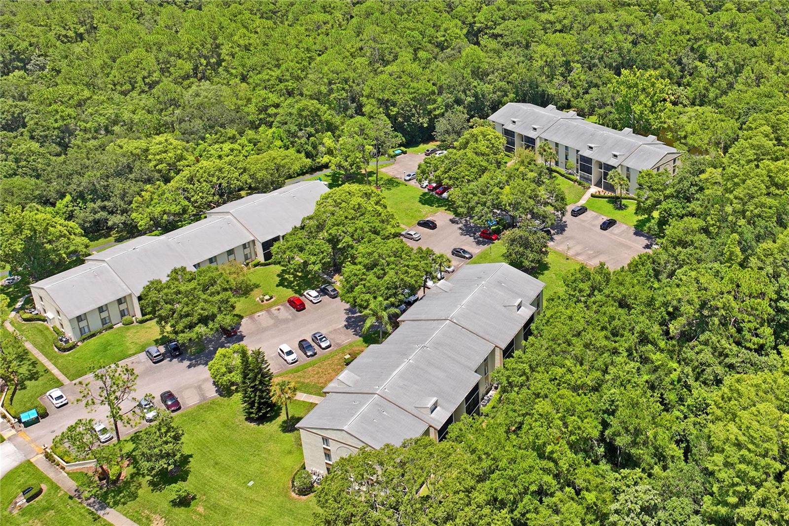 Image 35 of 45 For 3232 Lake Pine Way H2