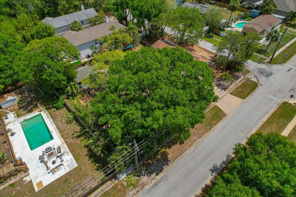 Image 11 of 67 For 1314 Oleander Drive