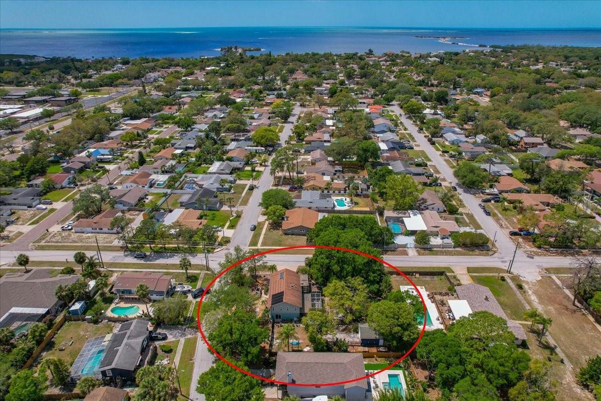 Image 16 of 67 For 1314 Oleander Drive